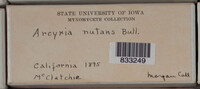 Image Associated With the Occurence
